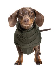 Daunenmantel | Dackel | ALASKA | Olive 