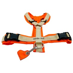 Y Brustgeschirr | Sand - Neonorange 