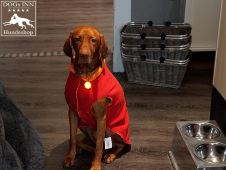 Double Jogger  |  BURGUNDER | ORANGE 