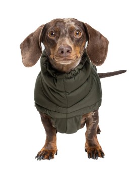 Daunenmantel | Dackel | ALASKA | Olive 