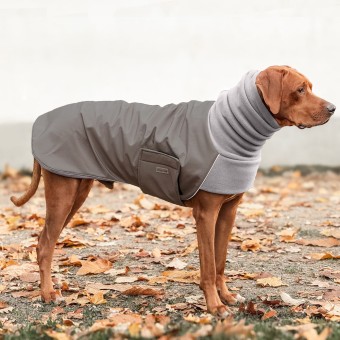 COSY HOODIE | Rhodesian Ridgeback | STONE / STONE 