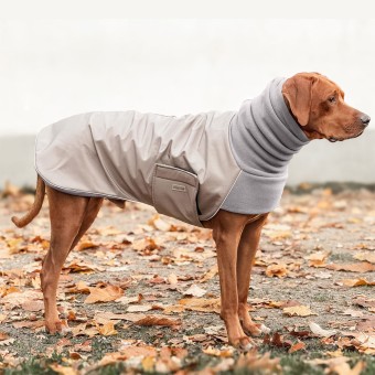 COSY HOODIE | Rhodesian Ridgeback | Taupe / Charcoal 