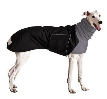 Windhundmantel | Winter | GREYHOUND  Galgo | schwarz 