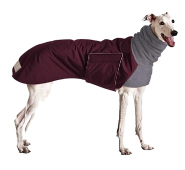 Windhundmantel | Winter | GREYHOUND Galgo | Burgunder 