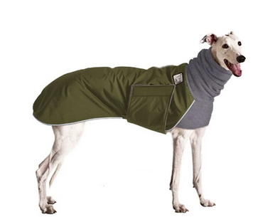 Windhundmantel | Winter | GREYHOUND Galgo | Olive 