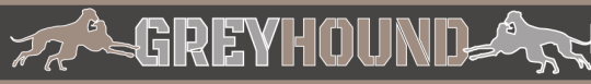 SALTYDOG ® GREYHOUND | HU 30-43 cm 