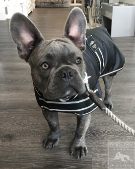 Coat Old England | Black 