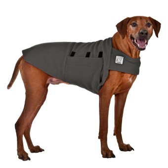 Tummy Warmer | Rhodesian Ridgeback | Grey 