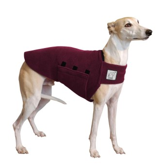 Tummy Warmer | Whippet | Burgunder 