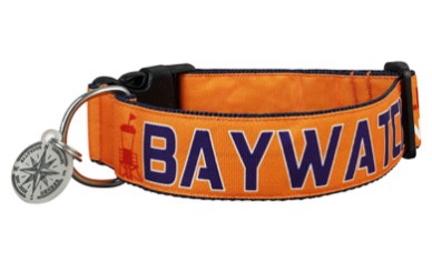 SALTYDOG ® BAYWATCH | ORANGE | NORTHSEA UK 