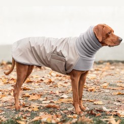 COSY HOODIE | Rhodesian Ridgeback | Taupe / Charcoal 