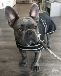 Coat Old England | Black 