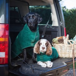Hundebademantel | Green 