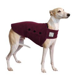 Tummy Warmer | Whippet | Burgunder 