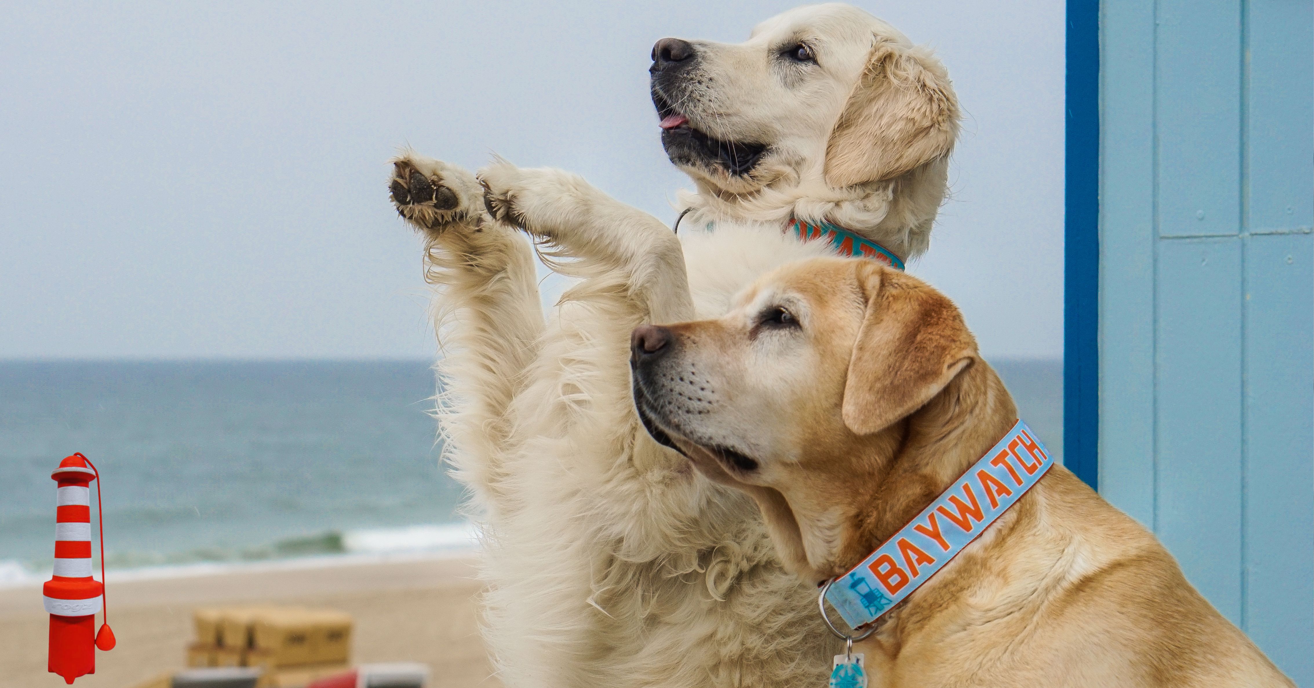 00 Banner  COAST GUARD